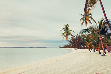 Image showing tropical beach with palm trees