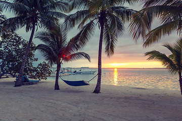 Image showing hammock on tropical beach