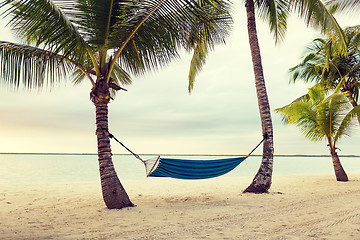 Image showing hammock on tropical beach