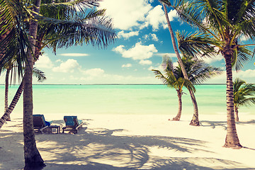 Image showing tropical beach with palm trees