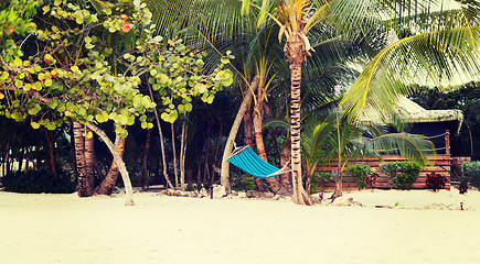 Image showing hammock on tropical beach