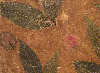 Image showing Aged handmade brown paper texture with leaves herbarium