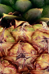 Image showing Pineapple