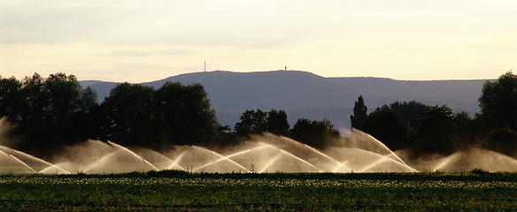 Image showing irrigation