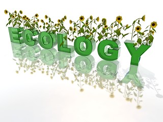 Image showing ecology