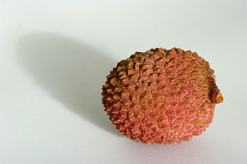 Image showing Litchi chinensis