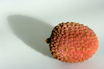 Image showing Litchi chinensis