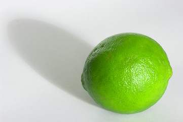 Image showing Kumquat