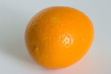 Image showing Kumquat