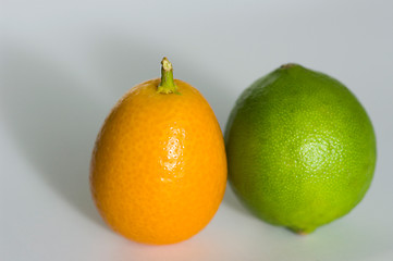 Image showing Kumquat