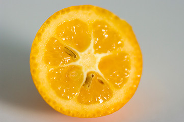 Image showing Kumquat