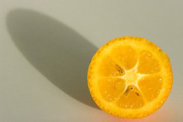 Image showing Kumquat