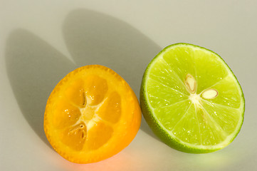 Image showing Kumquat