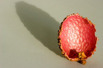 Image showing Litchi chinensis