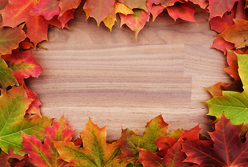 Image showing Border of fall maple leaves on wood