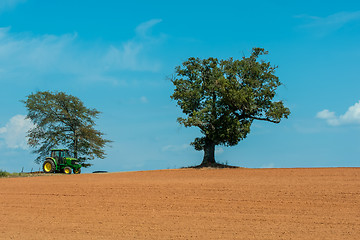 Image showing farm field with lone tree