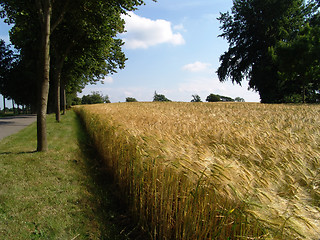 Image showing country road