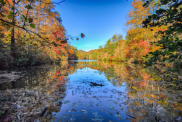 Image showing Autumn of yellow trees with reflection on lake