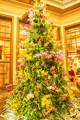 Image showing botanical christmas tree 