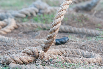 Image showing rope against a grass background