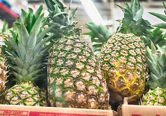 Image showing pineapples sticking out of a box 