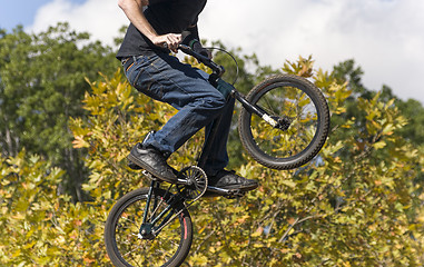 Image showing BMX Biker