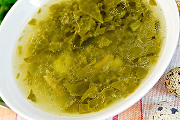 Image showing Soup of greenery on fabric