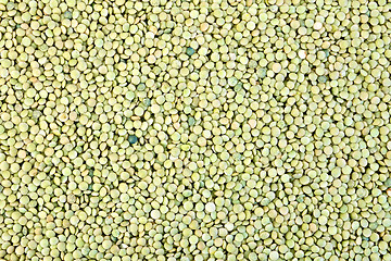 Image showing Lentils green texture