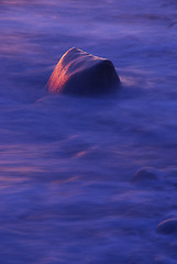 Image showing A single rock poking through.