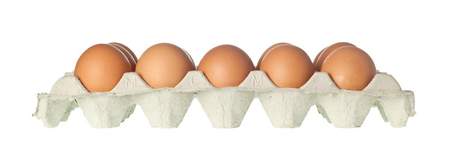 Image showing Tray of eggs