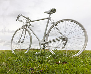 Image showing Old White Bicycle in a Field