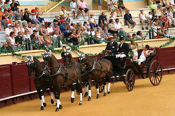 Image showing Four horses with cariage