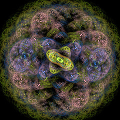 Image showing Symmetrical growth of bacteria