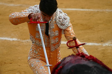 Image showing Bullfighter