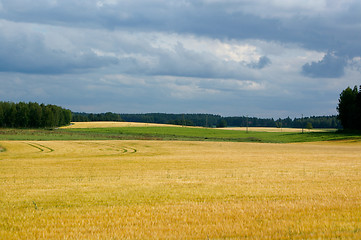 Image showing Countryside