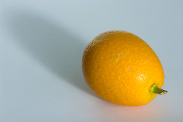 Image showing Kumquat