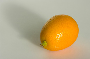 Image showing Kumquat