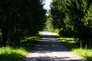 Image showing Dirt road