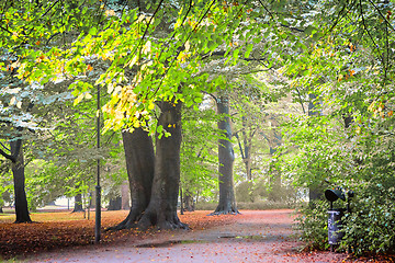 Image showing Footpath in park