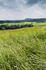 Image showing Summer landscape