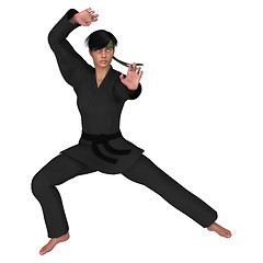 Image showing Martial Arts