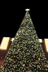 Image showing christmas tree 