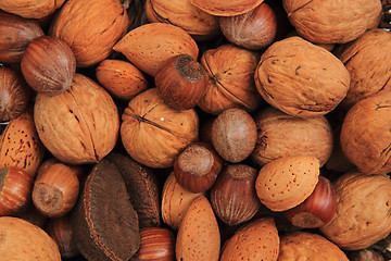 Image showing nuts as nice natural background 