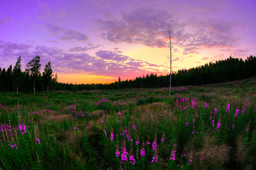 Image showing Landscape