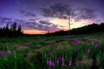 Image showing Landscape