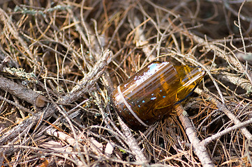 Image showing Broken glass bottle