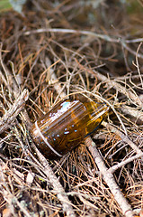 Image showing Broken glass bottle