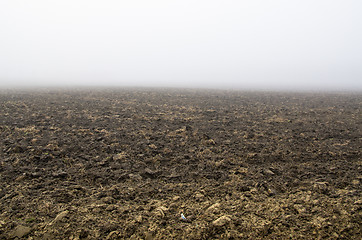 Image showing Misty morning