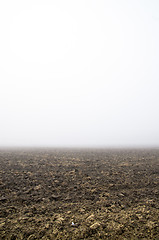 Image showing Misty morning