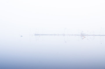 Image showing Misty morning